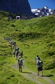 24h Hike Mammut_Ochsner 'Meiringen_Grosse Scheidegg 1962m' 18_08_2012 (140)